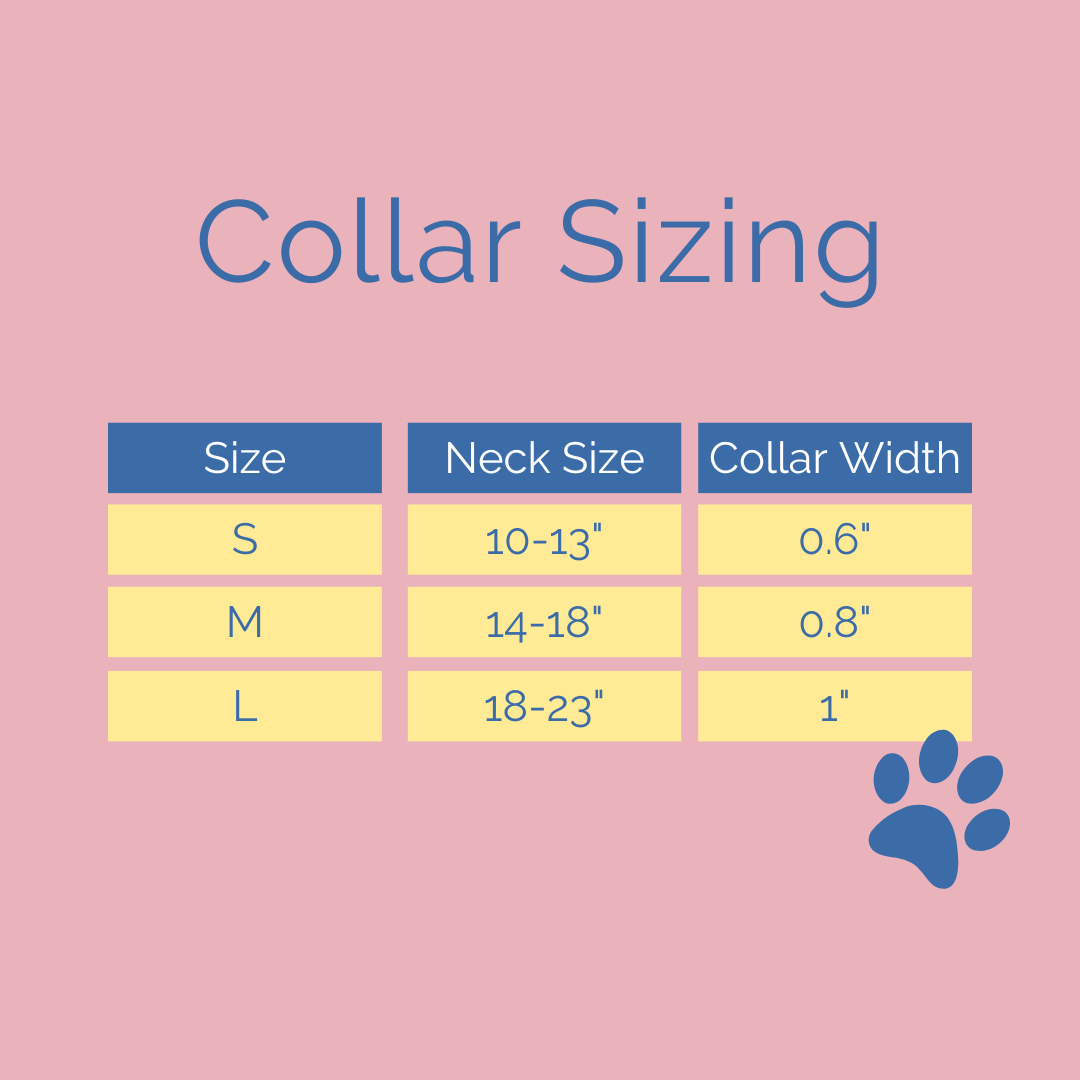 Medium dog collar size best sale in cm